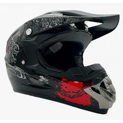 CASCO PANTHER